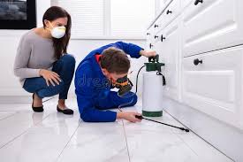 Real Estate Pest Inspections in Spring Grove, IL